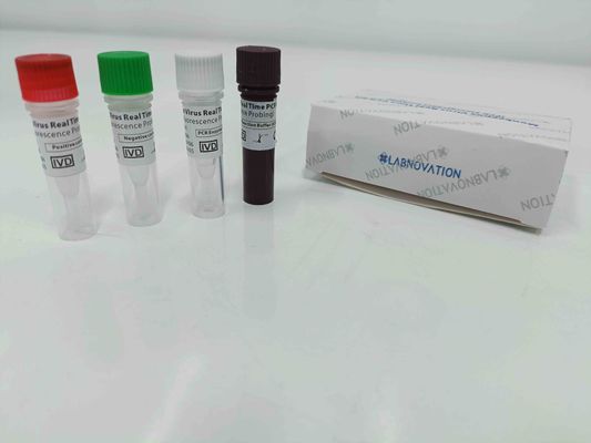 ποιότητας  Real Time Monkeypox PCR Test Kit With Positive / Negative Control εργοστάσιο