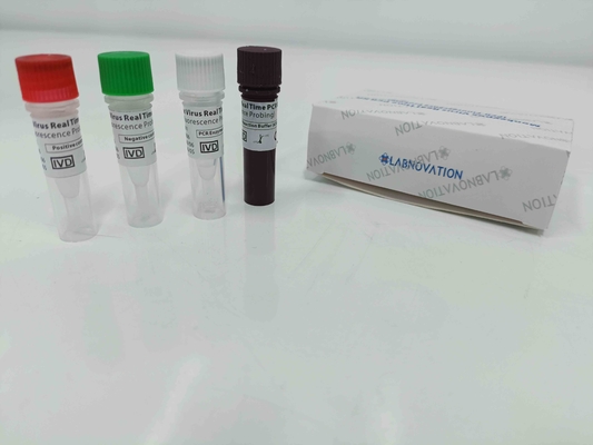 Πραγματικός - PCR χρονικού Monkeypox εξάρτηση δοκιμής με το θετικό/αρνητικό έλεγχο