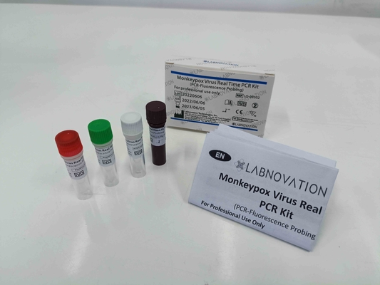PCR FAM Monkeypox εξάρτηση δοκιμής πραγματική - χρονικό PCR εξέταση φθορισμού